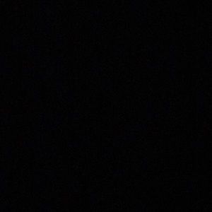 Meet your Posher, Sadie